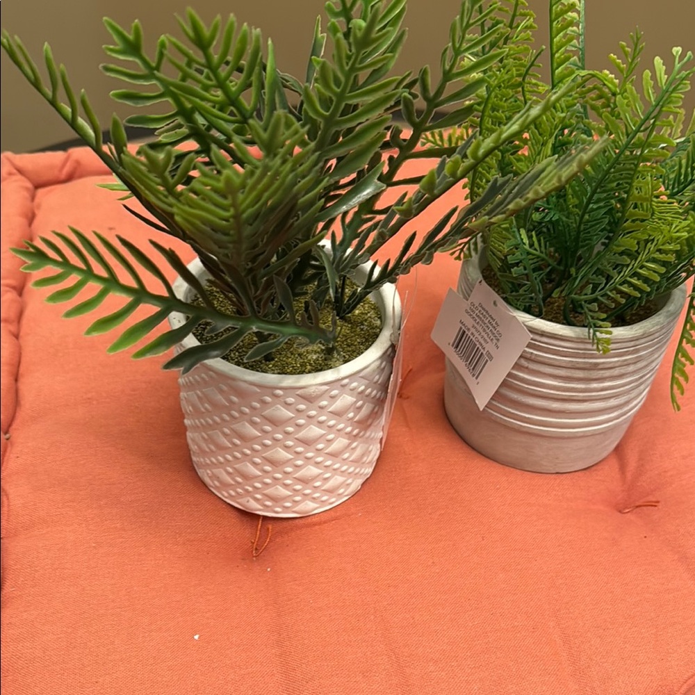Decorative Greenery in White and Gray Planters - Picture 2 of 8